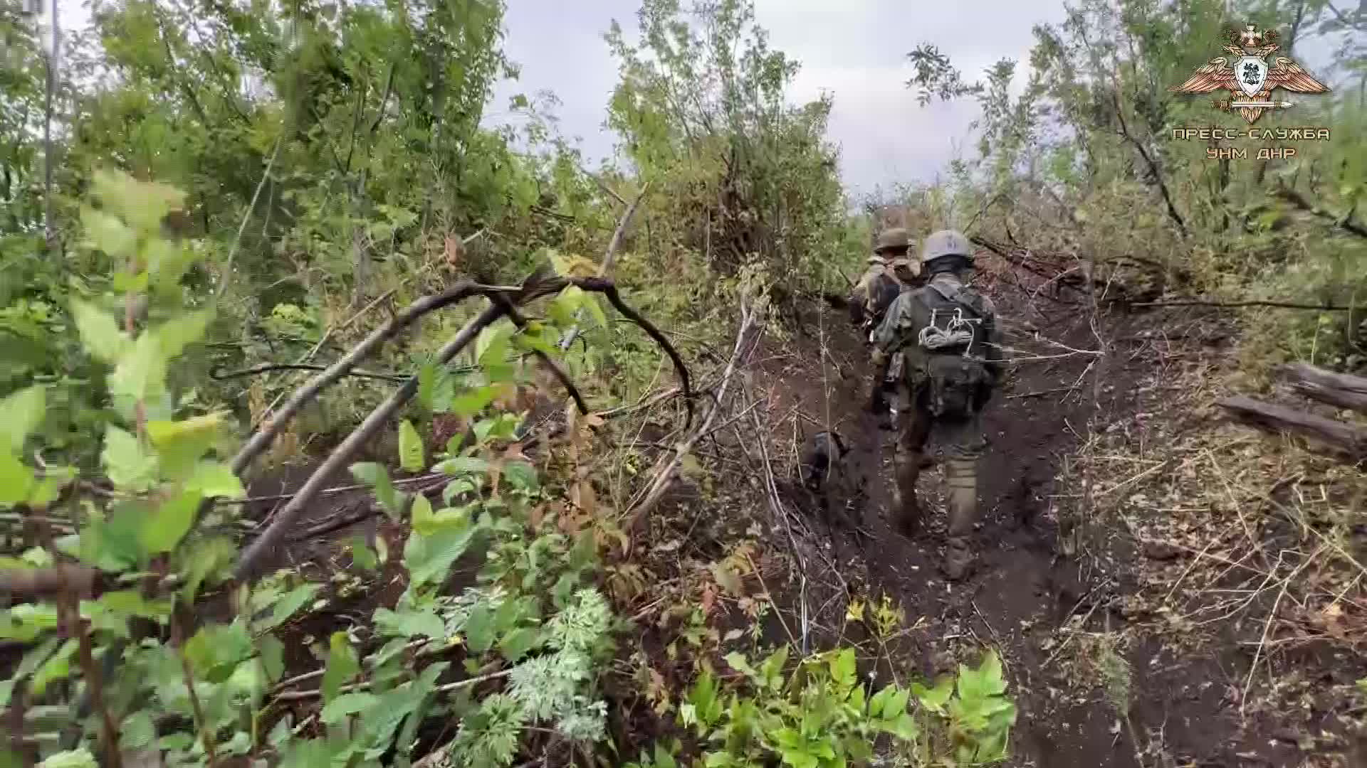 Телеграмм война на донбассе вк фото 74